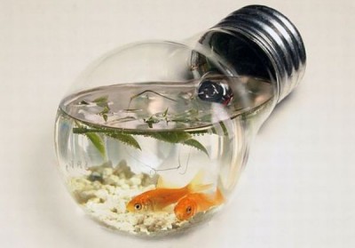 Kreatívne riešené akvária bavia nielen vaše ryby!