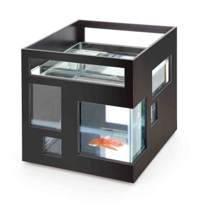 Originálne sklenené akvárium pre rybích miláčikov