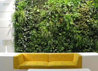 Zelené steny - originálny a praktický doplnok interiéru